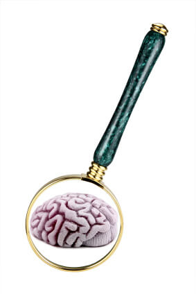 A magnifying glass magnifying brain