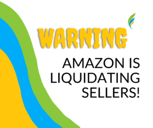 Warning Amazon is liquidating sellers