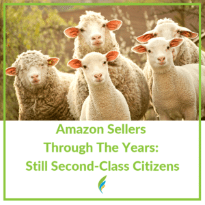 5 sheeps all looking at something at the same time