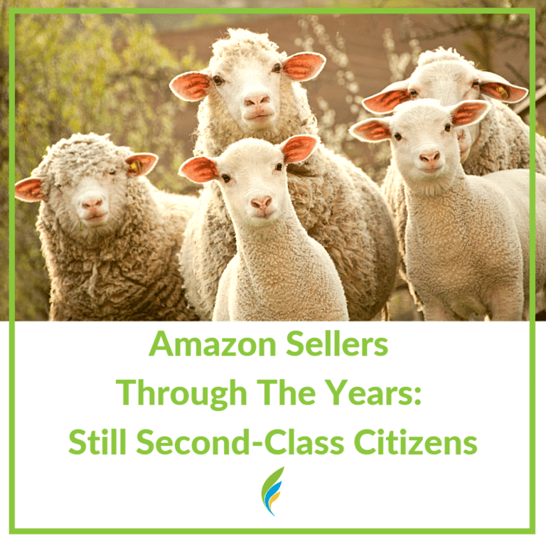 5 sheeps all looking at something at the same time