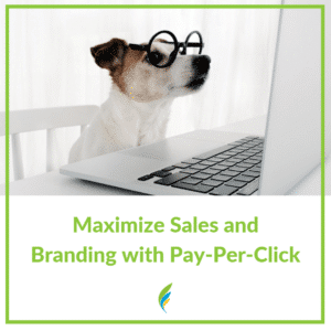 a white dog with glasses looking at a laptop screen
